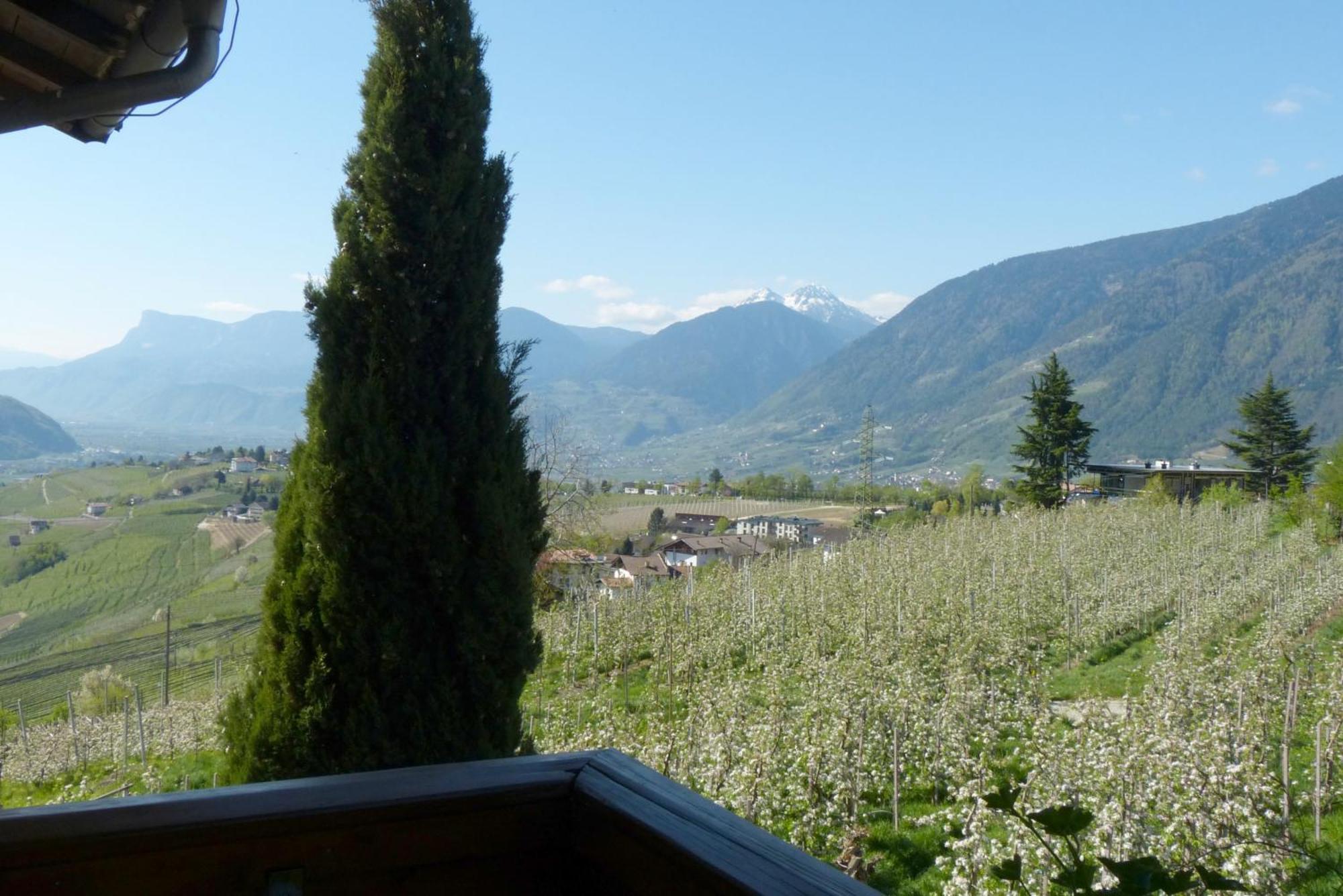 Garni Sonnleiten Dorf Tirol Exterior foto